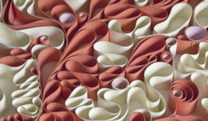 Alveoli -2013